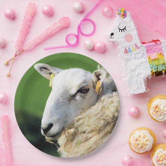 NIEDLICHE SCHUHE PAPPTELLER (Party)