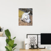 NIEDLICHE SCHUHE POSTER (Heimbüro)