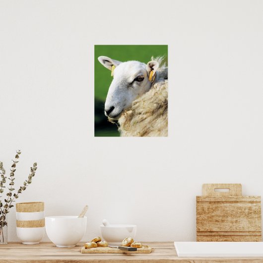 NIEDLICHE SCHUHE POSTER (Küche)