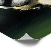 NIEDLICHE SCHUHE POSTER (Ecke)