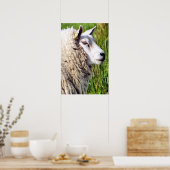 NIEDLICHE SCHUHE POSTER (Küche)