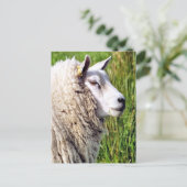 NIEDLICHE SCHUHE POSTKARTE (Stehend Vorderseite)