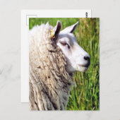 NIEDLICHE SCHUHE POSTKARTE (Vorne/Hinten)