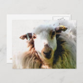 NIEDLICHE SCHUHE POSTKARTE (Vorne/Hinten)