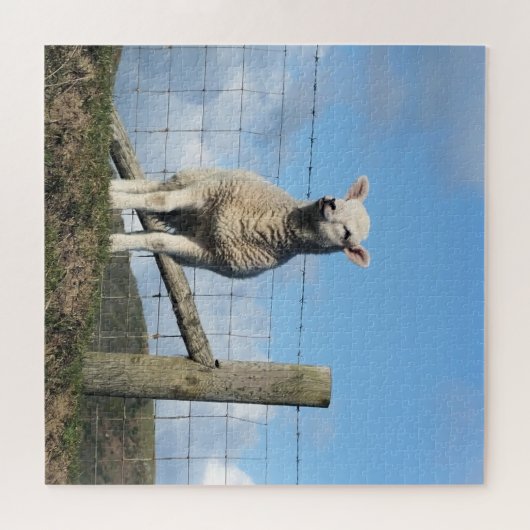 NIEDLICHE SCHUHE PUZZLE (Horizontal)