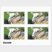 NIEDLICHE SCHUHE RECHTECKIGER AUFKLEBER (Blatt)