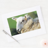 NIEDLICHE SCHUHE RECHTECKIGER AUFKLEBER (Umschlag)