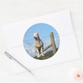 NIEDLICHE SCHUHE RUNDER AUFKLEBER (Umschlag)