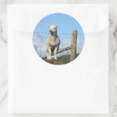 NIEDLICHE SCHUHE RUNDER AUFKLEBER (Tasche)