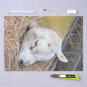 NIEDLICHE SCHUHE SEIDENPAPIER (Handwerk)