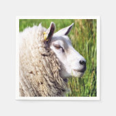 NIEDLICHE SCHUHE SERVIETTE (Vorderseite)