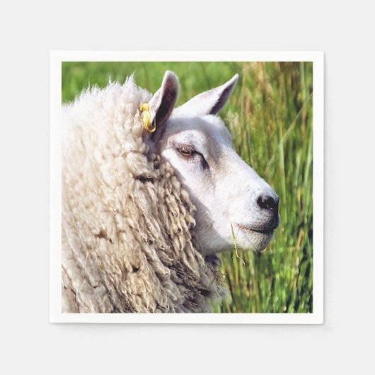 NIEDLICHE SCHUHE SERVIETTE (Vorderseite)