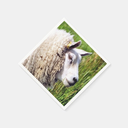 NIEDLICHE SCHUHE SERVIETTE (Ecke)