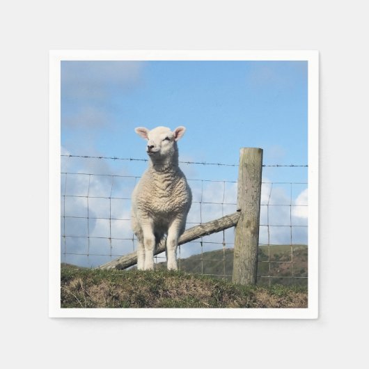 NIEDLICHE SCHUHE SERVIETTE (Vorderseite)