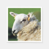 NIEDLICHE SCHUHE SERVIETTE (Vorderseite)