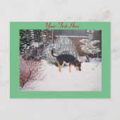 niedliche Schwarz-Bein-Hund-Winterschnee-Szene Postkarte (Vorderseite)