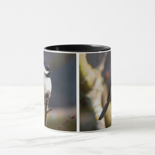 Niedliche, schwarz gekappte Chickade auf Zweig Tasse (Zentrum)