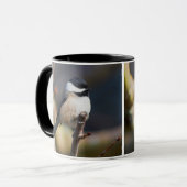 Niedliche, schwarz gekappte Chickade auf Zweig Tasse (Vorderseite Links)