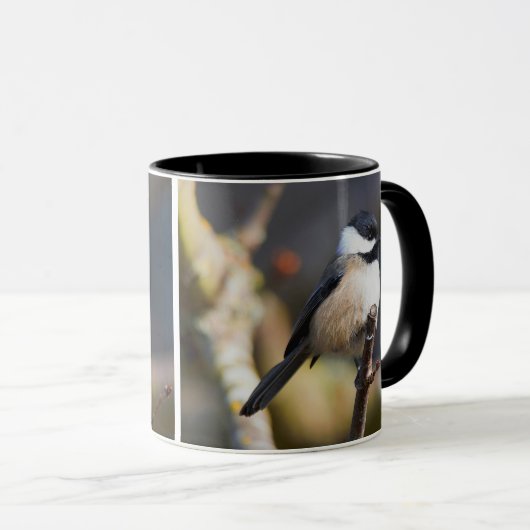 Niedliche, schwarz gekappte Chickade auf Zweig Tasse (VorderseiteRechts)
