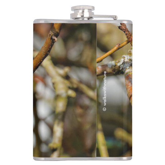 Niedliche, schwarz gekappte Chickade im Baum Flachmann (Rückseite)