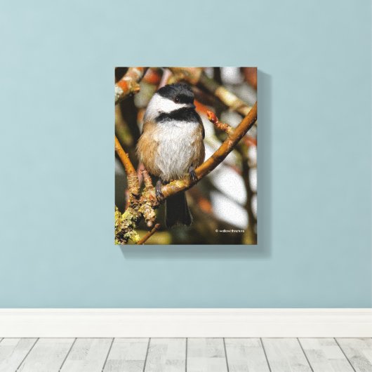 Niedliche, schwarz gekappte Chickade im Baum Leinwanddruck (Insitu (Holzboden))