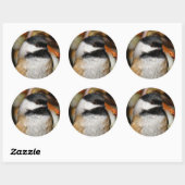 Niedliche, schwarz gekappte Chickade im Baum Runder Aufkleber (Blatt)