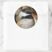 Niedliche, schwarz gekappte Chickade im Baum Runder Aufkleber (Tasche)