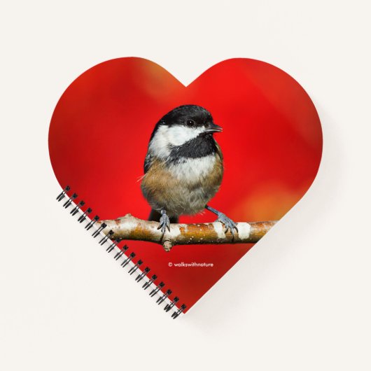 Niedliche schwarz gekappte Chickade mit roten Herb Notizbuch (Vorderseite)