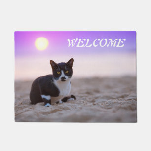 Niedliche Schwarz-Weiß-Katze am Strand mit Sonne Fußmatte