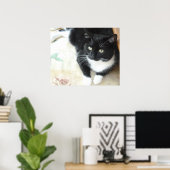 Niedliche Schwarz-Weiß-Katze Poster (Heimbüro)