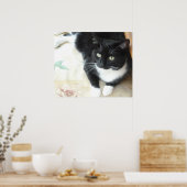 Niedliche Schwarz-Weiß-Katze Poster (Küche)
