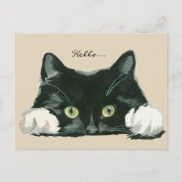 niedliche Schwarz-Weiß-Katzenjacke Postkarte