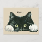 niedliche Schwarz-Weiß-Katzenjacke Postkarte (Vorderseite)
