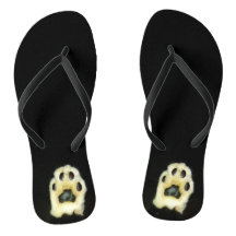 Niedliche Schwarz-Weiß-Katzenpasten