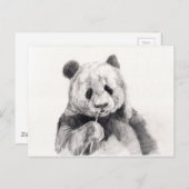 Niedliche Schwarz-Weiß-Panda-Illustration Postkarte (Vorne/Hinten)
