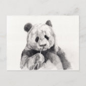 Niedliche Schwarz-Weiß-Panda-Illustration Postkarte (Vorderseite)