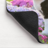 Niedliche Schwarz-weiße Katze in einem farbenfrohe Mousepad (Ecke)