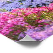 Niedliche Schwarz-weiße Katze in einem farbenfrohe Poster (Ecke)