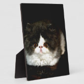 Niedliche Schwarz-weiße Katzenkatze Fotoplatte (Seite)