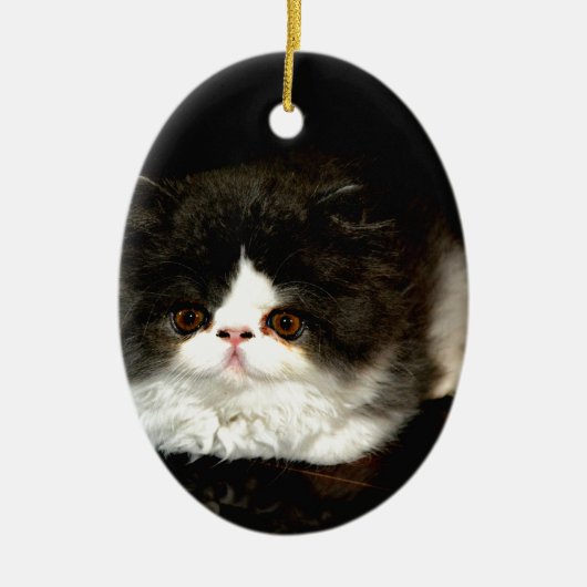 Niedliche Schwarz-weiße Katzenkatze Keramik Ornament (Vorne)