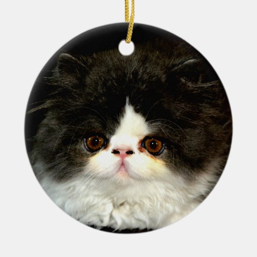 Niedliche Schwarz-weiße Katzenkatze Keramik Ornament (Vorne)