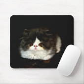 Niedliche Schwarz-weiße Katzenkatze Mousepad (Mit Mouse)