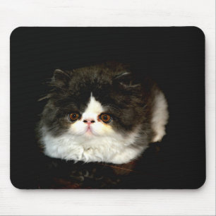 Niedliche Schwarz-weiße Katzenkatze Mousepad