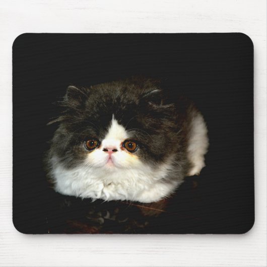 Niedliche Schwarz-weiße Katzenkatze Mousepad (Vorne)