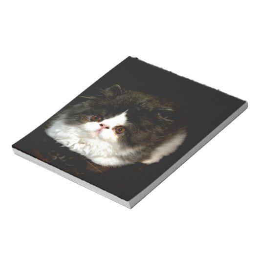 Niedliche Schwarz-weiße Katzenkatze Notizblock (Rotiert)