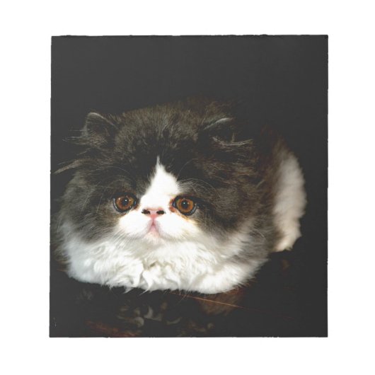 Niedliche Schwarz-weiße Katzenkatze Notizblock (Vorderseite)