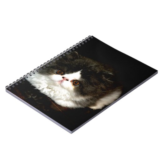 Niedliche Schwarz-weiße Katzenkatze Notizblock (Linke Seite)
