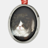 Niedliche Schwarz-weiße Katzenkatze Silbernes Ornament (Links)