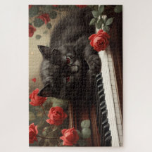 Niedliche schwarze Katze auf Klavier