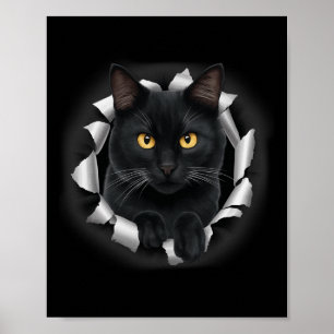Niedliche Schwarze Katze aus Torngewebe für Katzen Poster